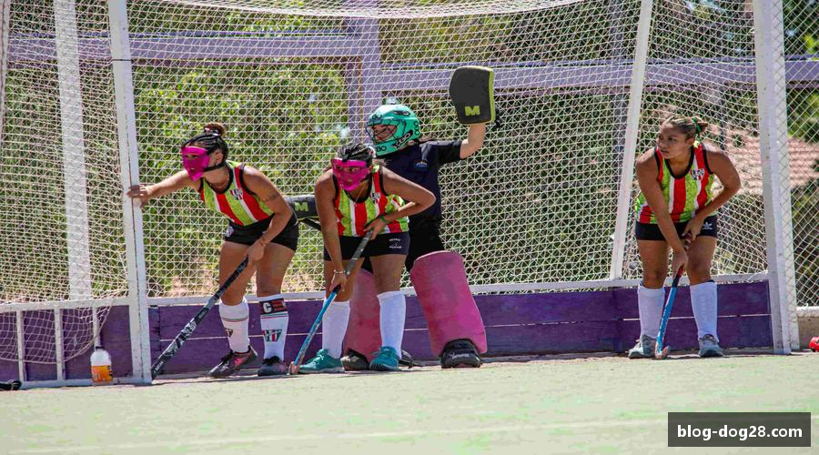 狗子28(中国)官方网站 - 狗子28大舞台，有梦你就来